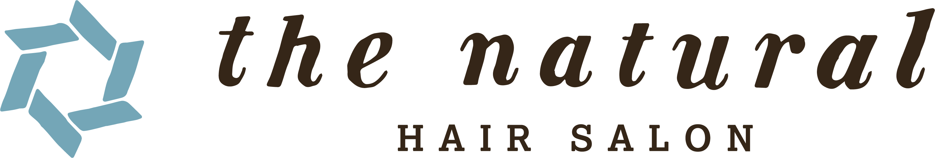 The Natural Hair Salon