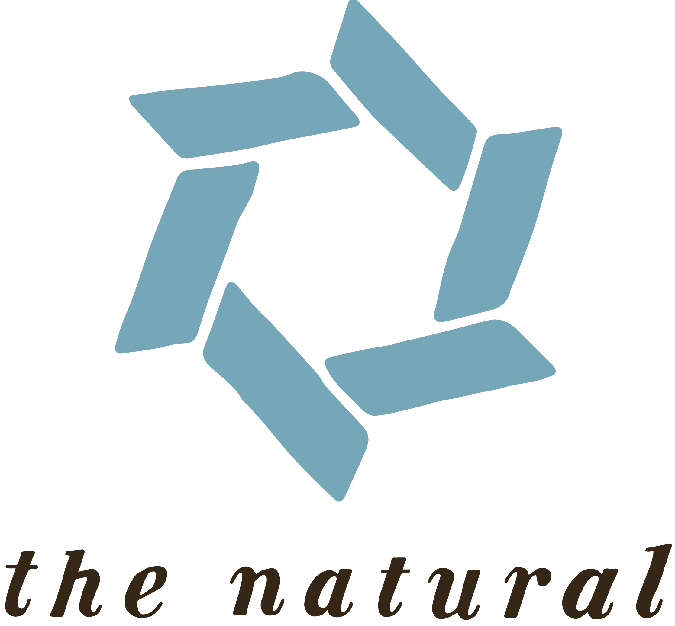 The Natural Hair Salon