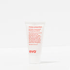 EVO Mane Attention Protein Treatment